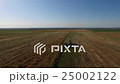 Flying over the field. 25002122