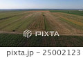 Flying over the field. The tractor mows wheat. 25002123