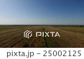 Flying over the field. Field of yellow wheat.  25002125