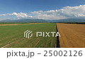 The flight over a field of green and yellow. 25002126