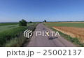 A woman riding a bike on a country road. 25002137