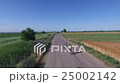 A woman riding a bike on a country road. 25002142