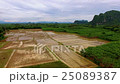 rice field forest hill panning, aerial shot 25089387