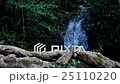 small waterfall in forest 25110220