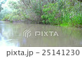 Water channel, river in Danube Delta 25141230