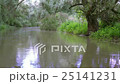 Water channel, river in Danube Delta 25141231