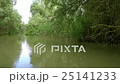 Water channel, river in Danube Delta 25141233