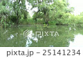 Water channel, river in Danube Delta 25141234