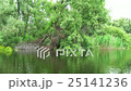 Water channel, river in Danube Delta 25141236