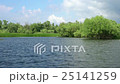 Beautiful lake in Danube Delta 25141259