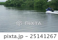 Exploring Danube Delta with a boat 25141267