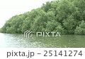 Landscape in Danube Delta 25141274