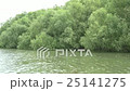 Landscape in Danube Delta 25141275