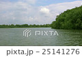 Landscape in Danube Delta 25141276