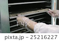 Loaves Plant. Loaves Plant. Woman Puts a Tray of 25216227