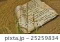 Piece of Paper is Thrown Into the Water 25259834