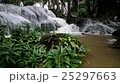 Beautiful waterfall in the forest 25297663