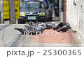 Slow motion footage of Pigeons eating 25300365