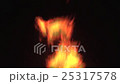Burning flame landscape 25317578