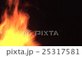 Burning flame landscape 25317581