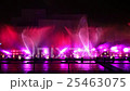 Laser and fire show 25463075