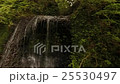 Shigeki Fudo瀑布航空攝影 25530497