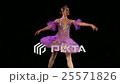 beautiful ballerina dancing 25571826
