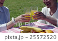 在陽光明媚的草坪上，一對夫婦敬酒吐司 25572520