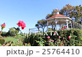 Doshishima park rose garden in autumn Doshishima park rose garden in autumn 25764410
