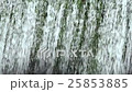 Blue moss waterfall 25853885