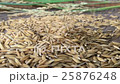 Pouring rice paddy on the bamboo tray 25876248