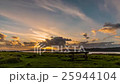 Time lapse of the meadow at dusk 25944104