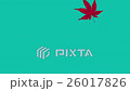 Momiji divergent leaves 26017826