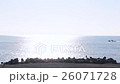 広い海　漁業　シラス船　水産業　船　ビジネス　輝く海 26071728
