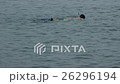 Swimming in sea 26296194