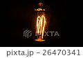 edison bulb 26470341