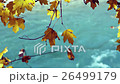 Tree branch with yellow autumn leaves over water. 26499179