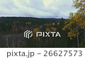 Flying over the autumn trees in the forest on the 26627573