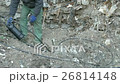 Man digs optical communication cable 26814148