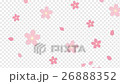 桜舞い散る　ループ 26888352
