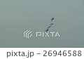 Russian military fighter in flight 26946588