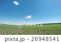 green spring field. Time lapse FHD 26948541