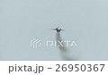 Russian military fighter in flight 26950367