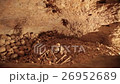 Hill of human skulls 26952689