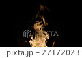 Fire inside a burning stove 27172023