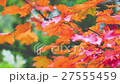 Autumn scene.Colorful foliage in the autumn park.  27555459