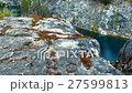 Moss and Rocks at Marble Canyon Ruskeala, 27599813