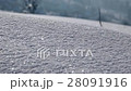 Beautiful Smooth Sheet of Fresh Snow on Plane 28091916