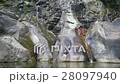 Ton Chong Fa Waterfall in tropical rainforest 28097940
