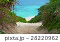 Sandy beach of Miyakojima, Okinawa Prefecture 28220962